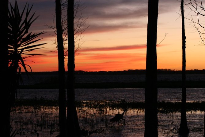 1-Hour Evening Airboat Ride - Price and Value: Is $84.93 Worth It?