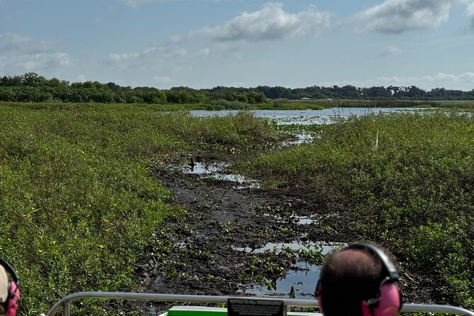 1 Hour Everglades Airboat Tour Orlando Florida - Why an Everglades airboat in Orlando is still a smart choice