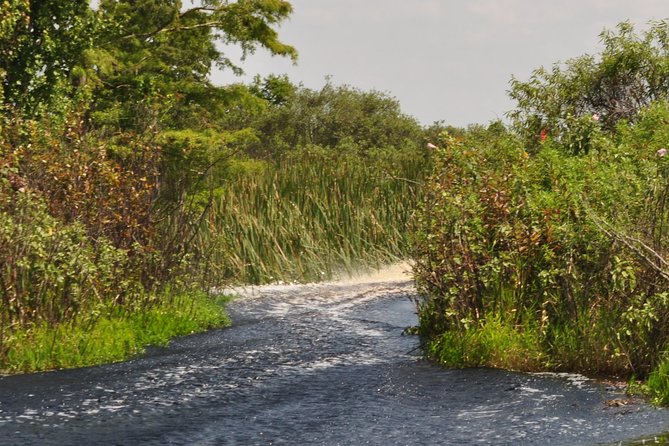 1 Hour Everglades Airboat Tour Orlando Florida - The 60-minute Everglades route: what happens once you’re out there