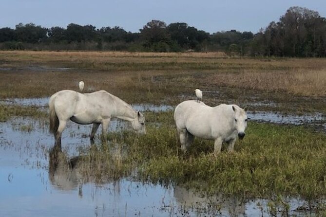 1 Hour Everglades Airboat Tour Orlando Florida - The guides: why names like Tanner, Logan, Ally, and Camden matter