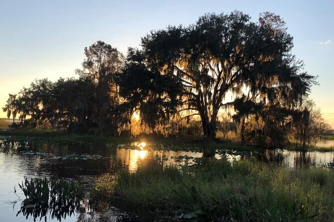 1 Hour Florida Everglades Wildlife Tour - Small Group Size: Why Up To 8 People Changes the Experience