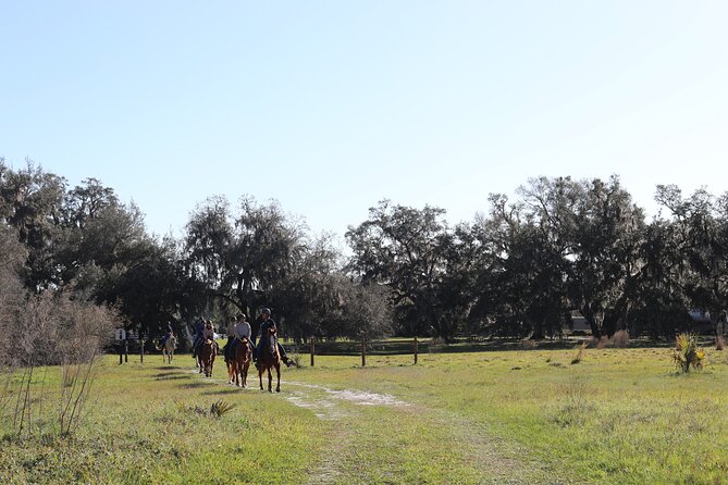 1 Hour Guided Horseback Trail Ride Rock Springs Run State Reserve - Price and value: $79 plus a $5 state park fee