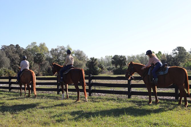 1 Hour Guided Horseback Trail Ride Rock Springs Run State Reserve - Small group, guided route: what to do when you arrive