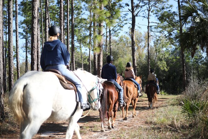 1 Hour Guided Horseback Trail Ride Rock Springs Run State Reserve - Your 2-hour rhythm: from check-in to back at the barn