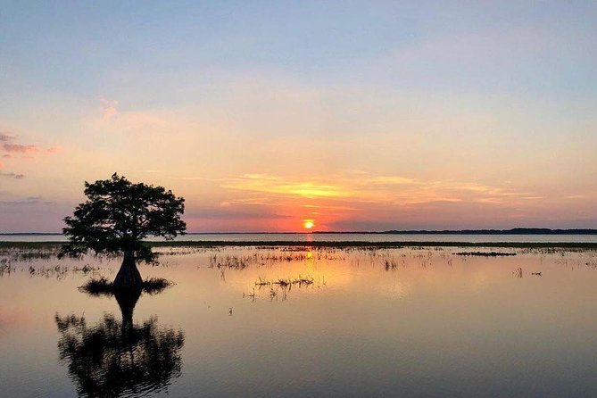 1-Hour Sunset Airboat Ride near Orlando - Boggy Creek arrival and the check-in routine you should plan for