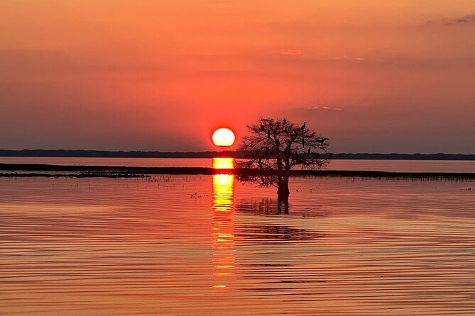 1-Hour Sunset Airboat Ride near Orlando - The 1-hour sunset itinerary: from dock to postcard views