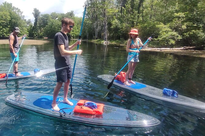 2-Hour Clear Kayak and Paddleboard(SUP) Rental in Orlando - Price and Value: Is $45 for 2 Hours Worth It?