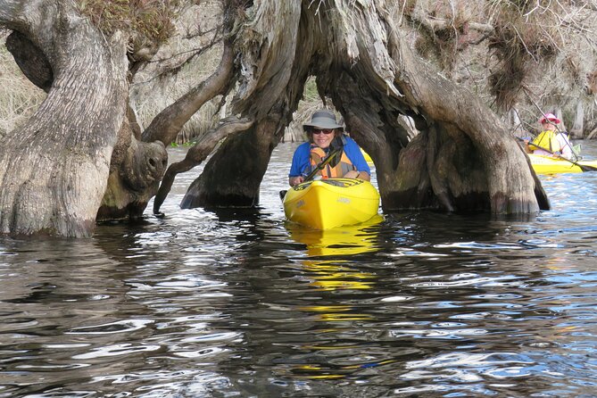 3 Hour Small Group Lake Norris Kayak Activity - The 3-Hour Out-and-Back Plan That Keeps You Focused