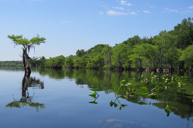 3 Hour Small Group Lake Norris Kayak Activity - What You’ll Actually Do on the Water