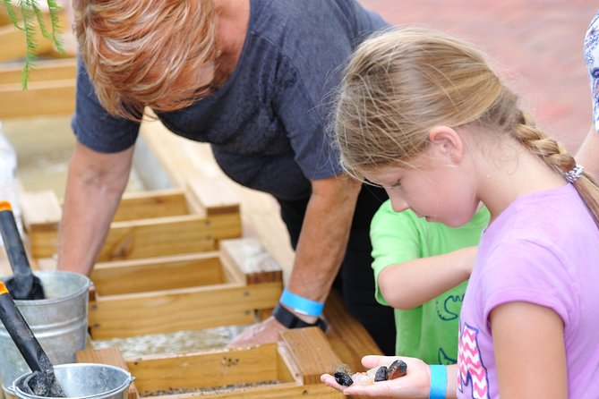 30-Minute Airboat Ride, Lunch, Gem Mining and Park Admission - Wildlife Breaks: Butterfly Garden and On-Site Viewing Time