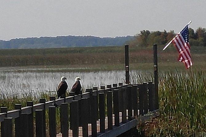 90 minute Everglades Airboat Tour near Orlando Florida - Getting to the start: Marsh Landing Adventures in Kissimmee