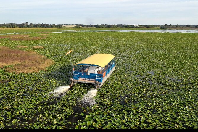 90 Minute Florida Everglades Boat Eco Tour - Key highlights that matter before you book