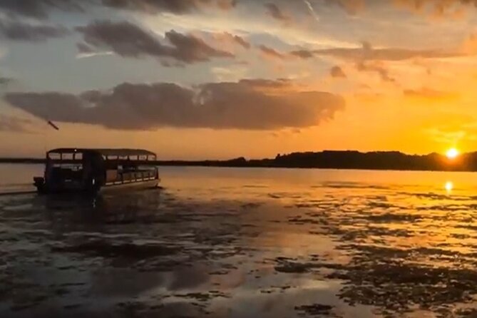 90 Minute Florida Everglades Boat Eco Tour - The Cruise Area: What You Can Spot on a Lake-Toho Style Everglades Tour