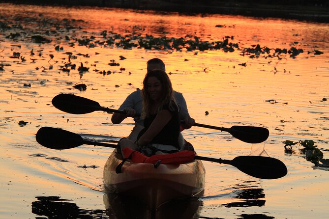 90-Minute Sunset paddle at Secret Lake Guided Kayak Tour in Casselberry - Small-Group Setup: Why It Matters on the Water