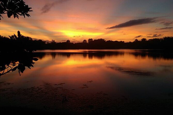 90-Minute Sunset paddle at Secret Lake Guided Kayak Tour in Casselberry - Lake Triplet: What the Sunset Paddle Feels Like