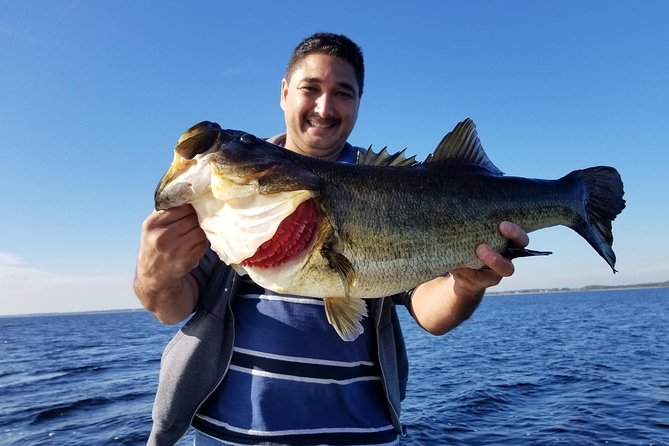 All Day Lake Toho Fishing Trip near Kissimmee - Families and groups: who this suits best