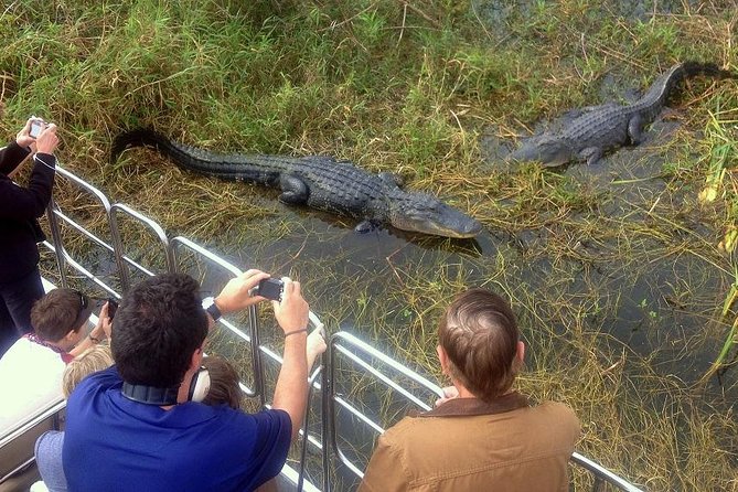 Central Florida Everglades Airboat Tour from Orlando with Pickup - Key Things You’ll Notice on This Orlando Everglades Airboat Day