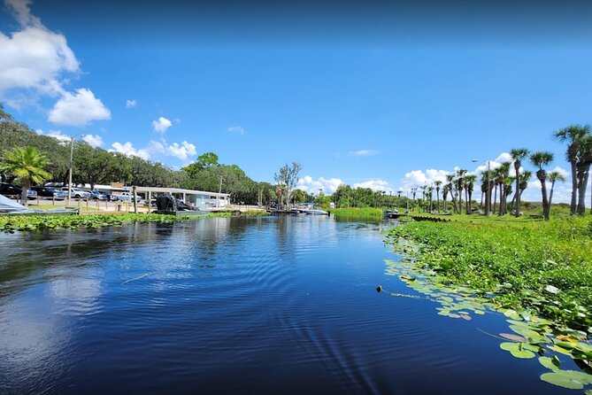 Central Florida's Airboat Rides - What You Can See: Birds, Gators, and the Day-Varies Factor
