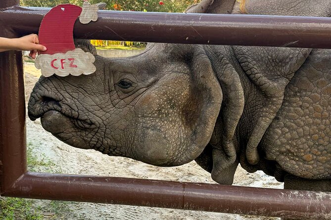 Central Florida Zoo and Botanical Gardens Ticket - Keeper Chats and Garden Hunts: When Explanations Turn Into Enjoyment