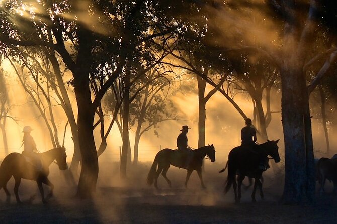 Champagne and Charcuterie Sunset Trail Ride - Who This Sunset Horse Ride Is Best For