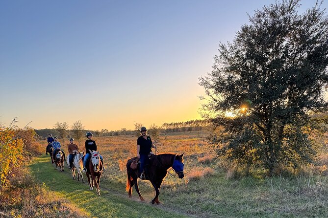 Champagne and Charcuterie Sunset Trail Ride - Rider Requirements: The Stuff You Should Check First