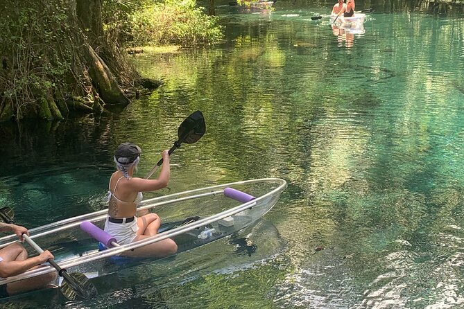 Clear Canoeing and Wildlife Sightseeing at Silver Springs - Who This Clear Canoe Rental Is Best For