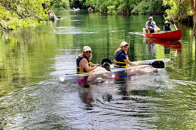Clear Canoeing and Wildlife Sightseeing at Silver Springs - Getting There and Handling State Park Lines Like a Pro