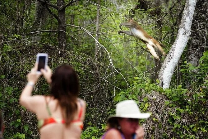 Clear Kayak or Paddleboard Manatee Adventure - Getting There and Meeting Your Guide at Silver Springs