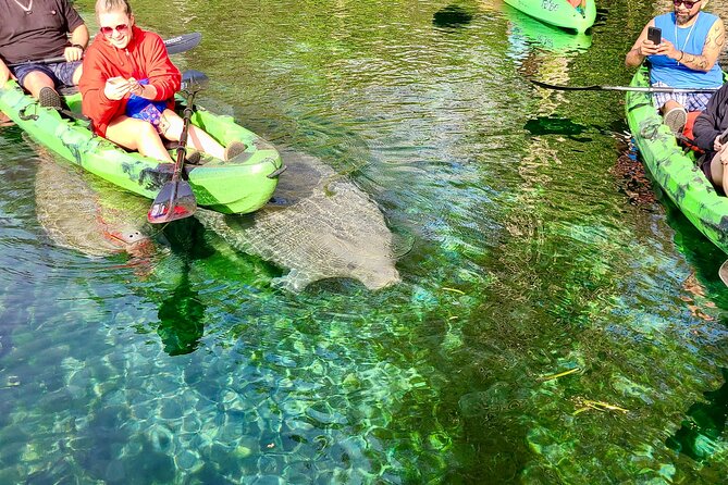 Clear Kayak or Paddleboard Manatee Adventure - Clear Boats, Dry Bags, and Comfort Choices That Matter