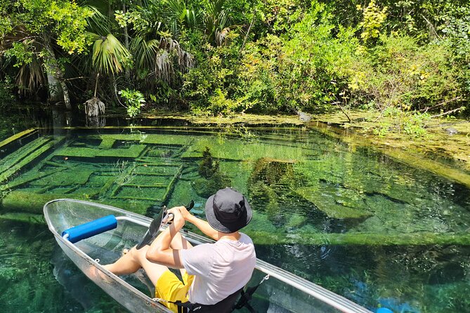 Clear Kayak or Paddleboard Manatee Adventure - Who Should Book This Silver Springs Kayak Adventure (and Who Should Think Twice)