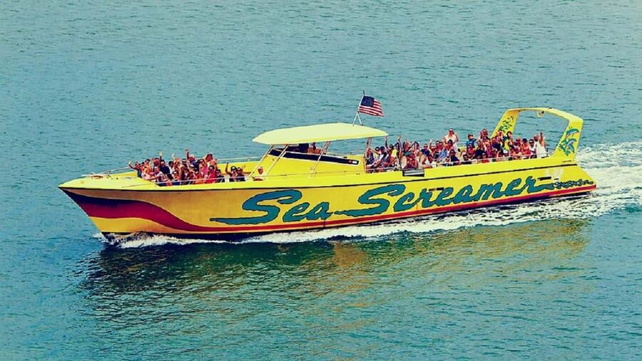 Clearwater Beach and Dolphin Cruise Day Trip from Orlando - The Morning Ride: Getting to the Gulf Without the Hassle