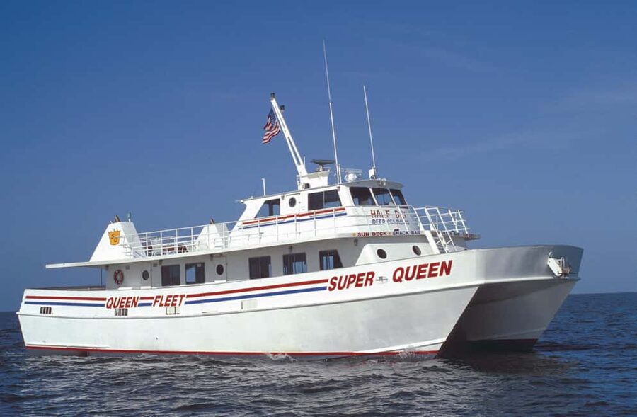 Clearwater Beach and Dolphin Cruise Day Trip from Orlando - Clearwater Beach Free Time: 5 Hours to Swim, Stroll, and Eat Like a Local