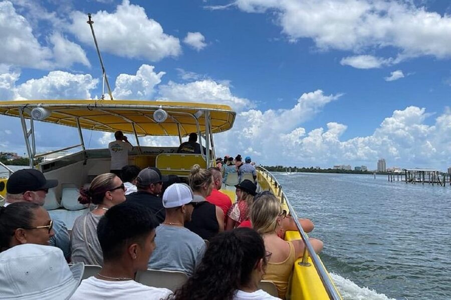 Clearwater Beach and Dolphin Cruise Day Trip from Orlando - Price and Time: Is $74 Worth It?