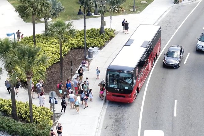 Clearwater Beach Bus Express - The vibe: group energy, pacing, and one reality check