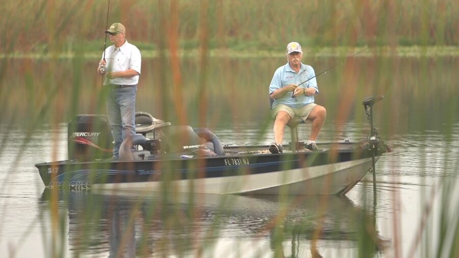 Clermont: Trophy Bass Fishing Experience with Expert Guide - What the 4 hours feel like on the water (and why the structure helps)