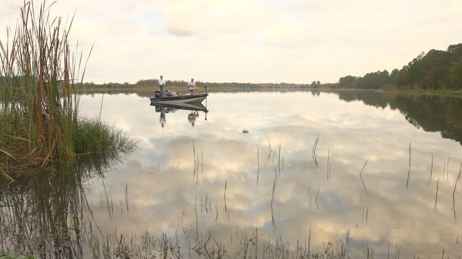 Clermont: Trophy Bass Fishing Experience with Expert Guide - Price and value: is $325 per group fair for this setup?