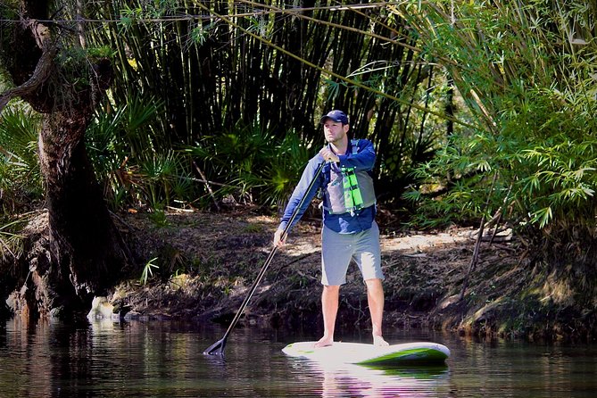 Cypress Forest: Guided Nature Kayak Eco-Tour - Shingle Creek Headwaters: Why This Paddling Route Feels So Florida