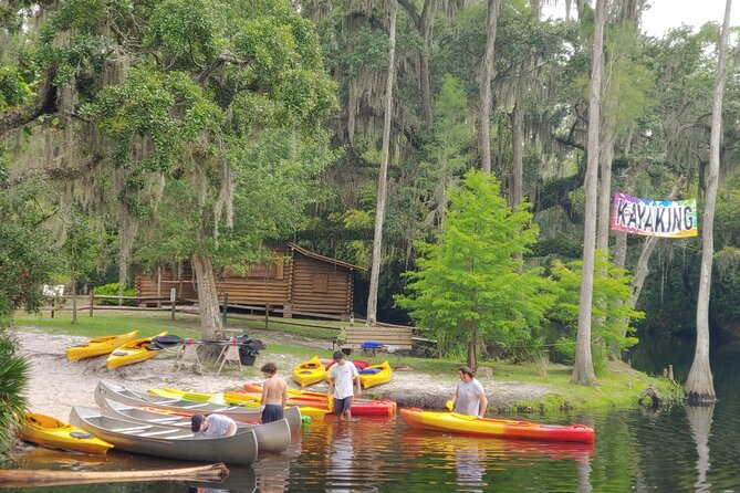 Cypress Forest: Guided Nature Kayak Eco-Tour - Kayak Setup That Works: Singles, Tandems, and Kids as Young as 4