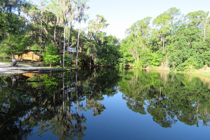 Cypress Forest: Guided Nature Kayak Eco-Tour - Wildlife Chances: What You Might See (and Why “Quiet” Still Counts)