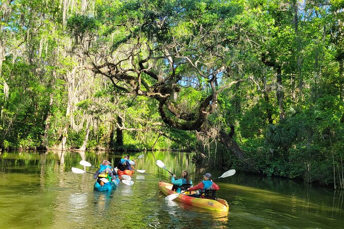 Dora Canal Wildlife Kayak Tour – Scenic Old Florida - The route through the canal: where the trip’s magic happens