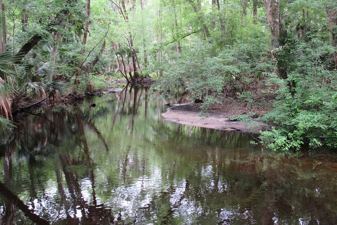 Exclusive Nature Escape Kayak Adventure on Blackwater Creek - On the Water: What the 3 Hours Feels Like