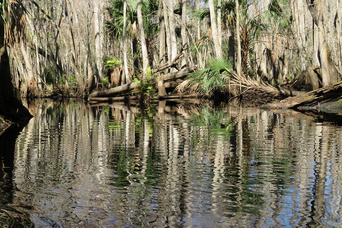 Exclusive Nature Escape Kayak Adventure on Blackwater Creek - Who Should Book This Kayak Adventure