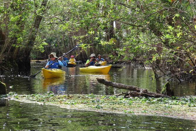 Exclusive Nature Escape Kayak Adventure on Blackwater Creek - A Few Practical Notes That Save Your Trip