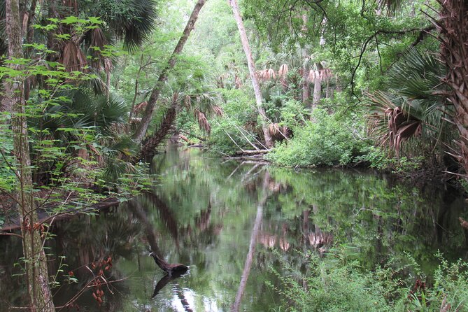 Exclusive Nature Escape Kayak Adventure on Blackwater Creek - Should You Book This Blackwater Creek Kayak Tour?