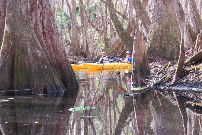 Exclusive Nature Escape Kayak Adventure on Blackwater Creek - Entering the Seminole State Forest: Bear Pond Trailhead Start