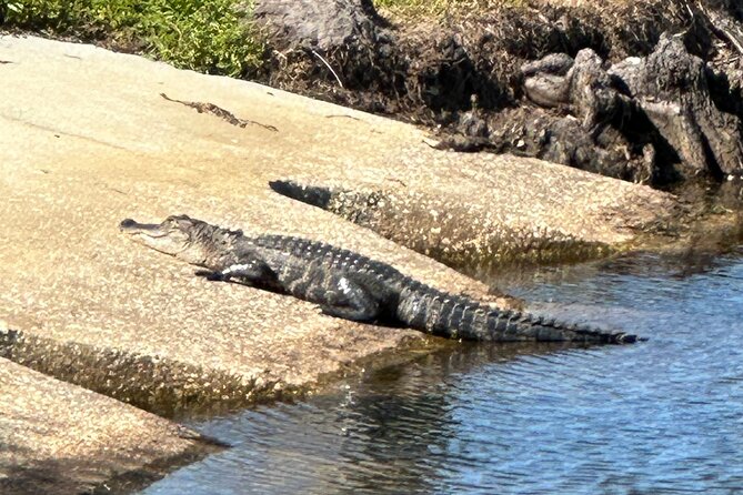 Experience Kissimmee Lakefront Mountain Bike Tour (2 Hours) - Stop 2 in Saint Cloud lakefront park: views, shade, and the sound of water