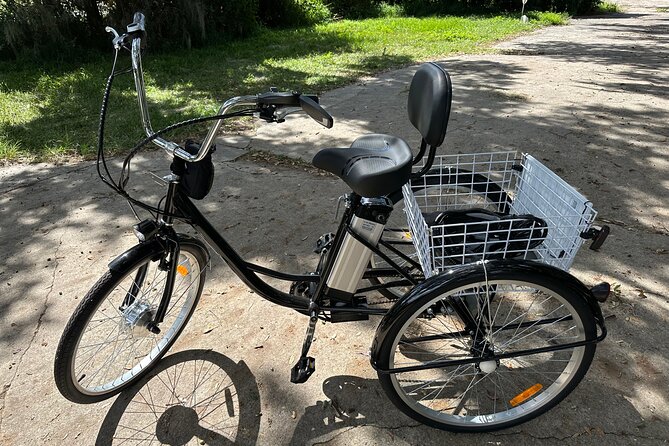 Experience Wild Florida Nature Up Close on Electric Trike (2 hrs) - Key things to know before you book