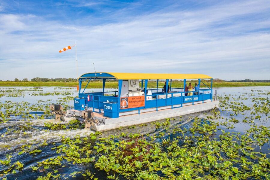 Florida: 90 Minute Everglades Cruise - Price and Value: Is $55 Reasonable for 90 Minutes?
