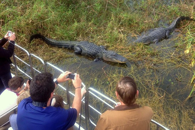 Florida Everglades Airboat Tour and Wild Florida Admission with Optional Lunch - How the guides shape your chances (Alex, Curtis, Jeff, Bobby, Matt)