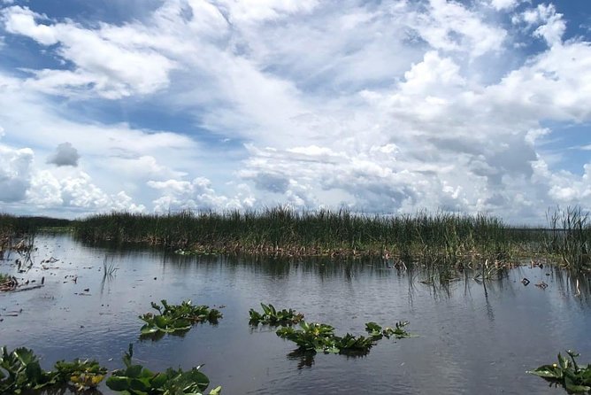 Florida Everglades Airboat Tour and Wild Florida Admission with Optional Lunch - Timing, packing, and what to expect from the ride and park